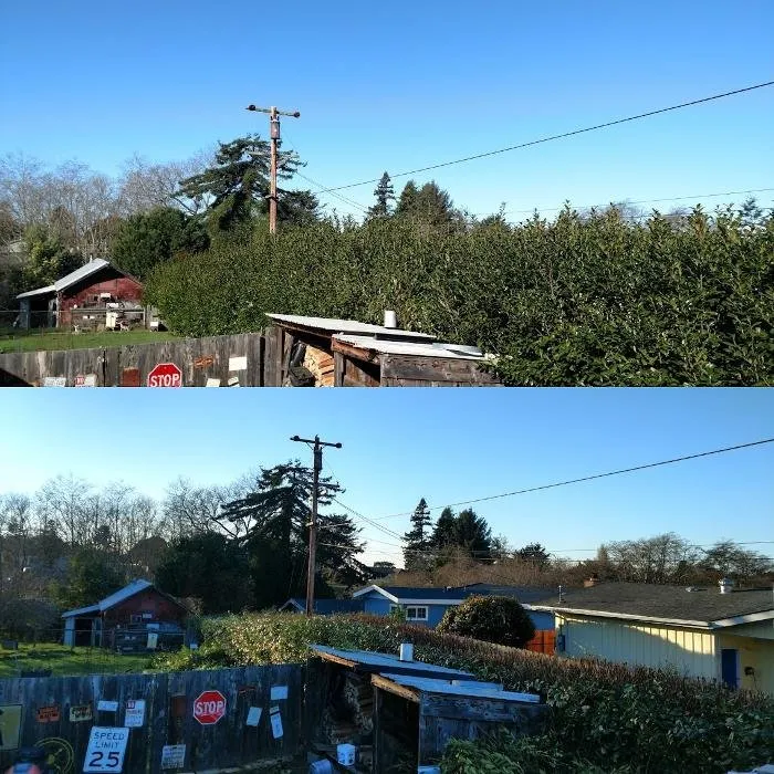 Expert outdoor landscaping experts serving Fortuna, CA - Tree Tactics