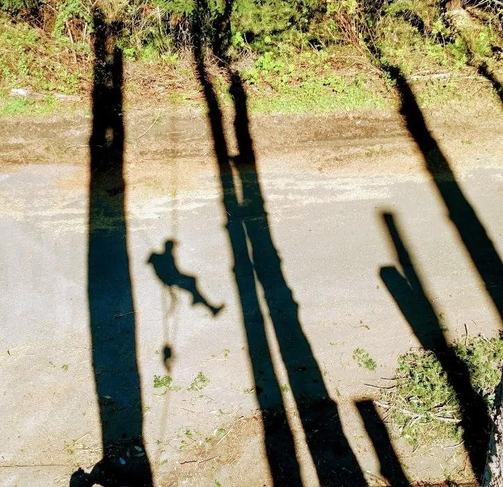 Professional lawn mowing service in Fortuna, CA by Tree Tactics