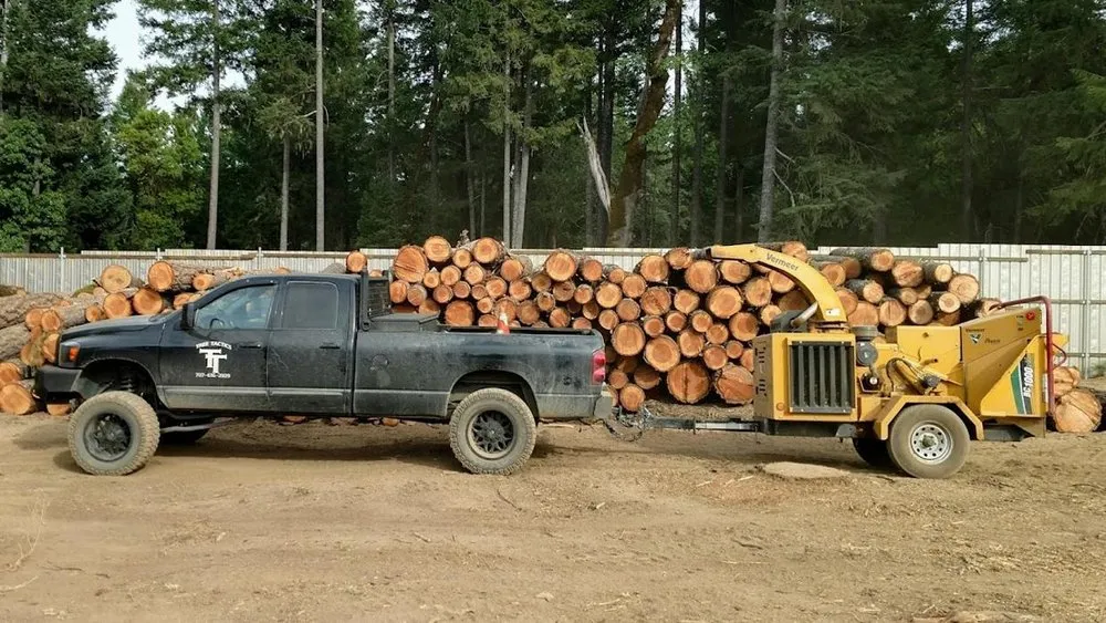 Professional landscape design in Fortuna, CA by Tree Tactics