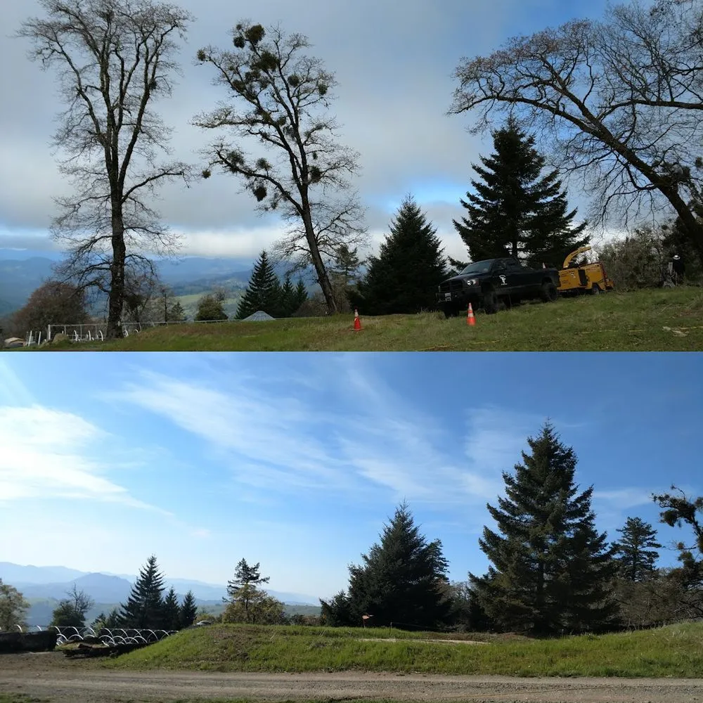 Custom landscaping services in Fortuna, CA - Tree Tactics