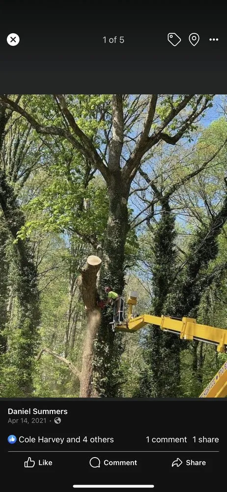 Professional lawn care service near you across Auburn, GA - Tree team 6 lawn care
