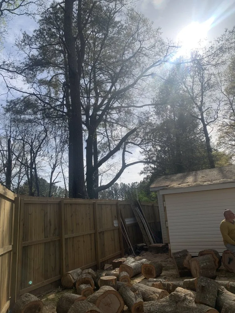 Expert landscape design for year-round maintenance across Auburn, GA - Tree team 6 lawn care