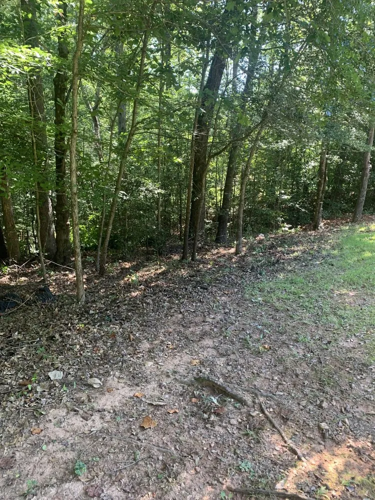 Expert yard maintenance in Auburn, GA by Tree team 6 lawn care