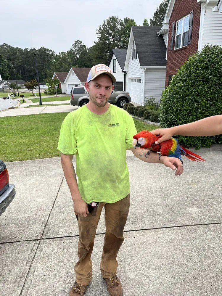 Reliable yard cleanup service experts serving Auburn, GA - Tree team 6 lawn care