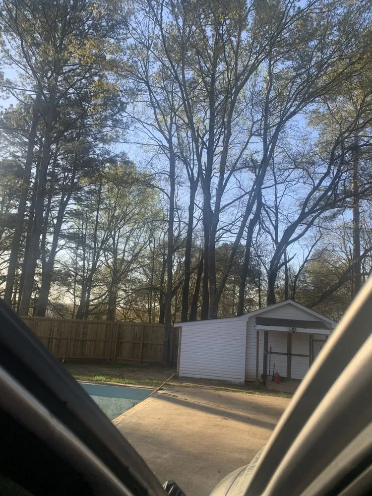 Custom landscape design for year-round maintenance across Auburn, GA - Tree team 6 lawn care