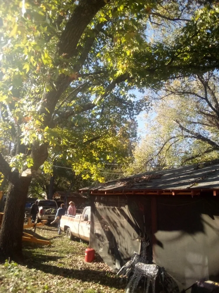 Top-rated yard cleanup service in Calera, OK - Tree Tech and Landscaping