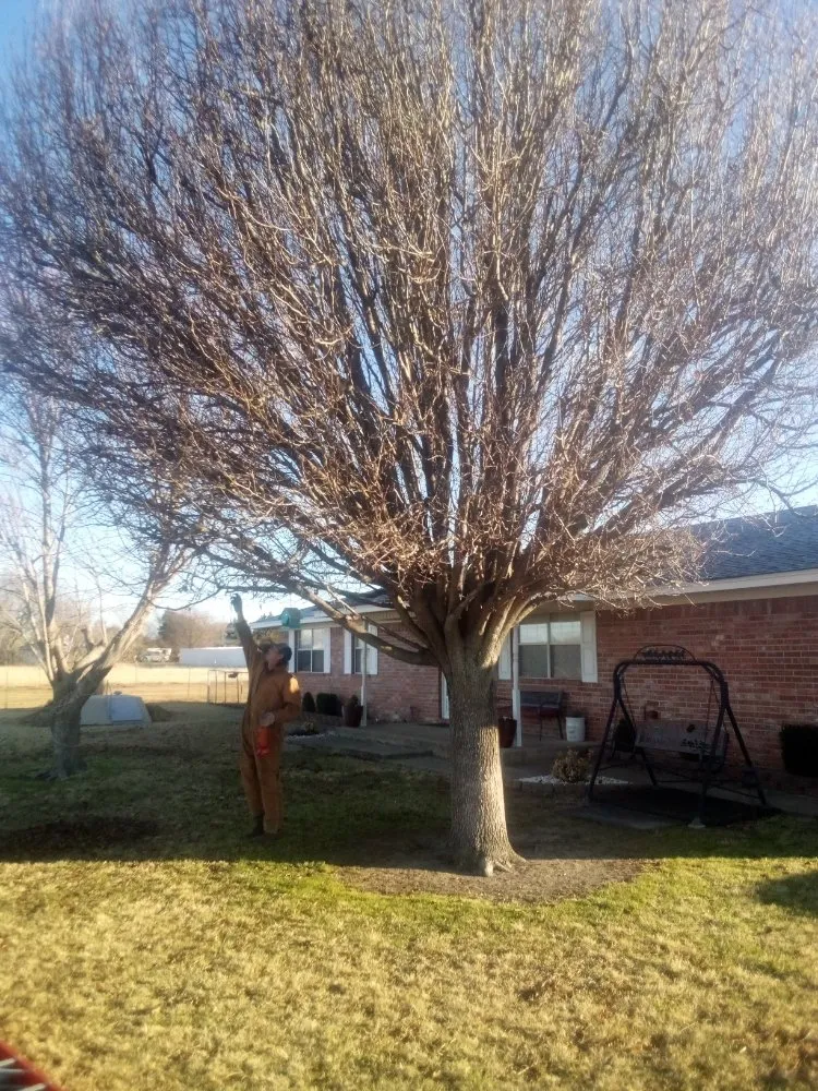 Custom lawn care service with custom design across Calera, OK - Tree Tech and Landscaping