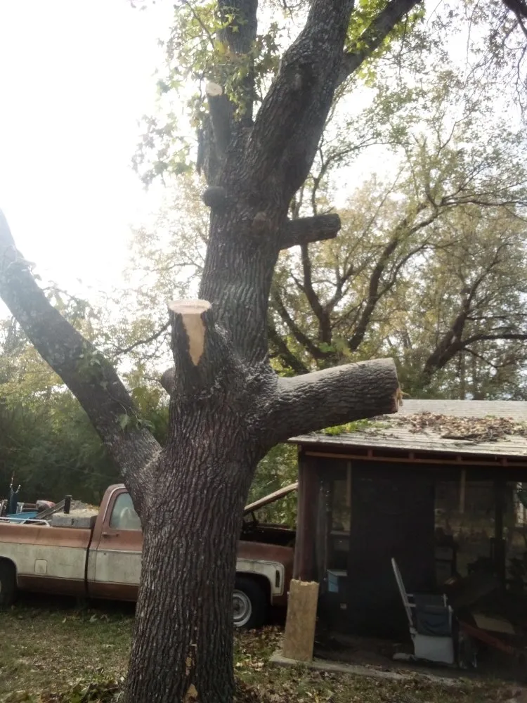 Professional landscape design experts serving Calera, OK - Tree Tech and Landscaping