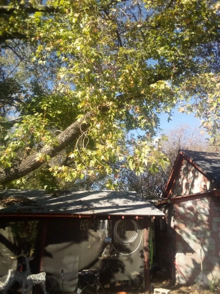 Local landscape design in Calera, OK by Tree Tech and Landscaping