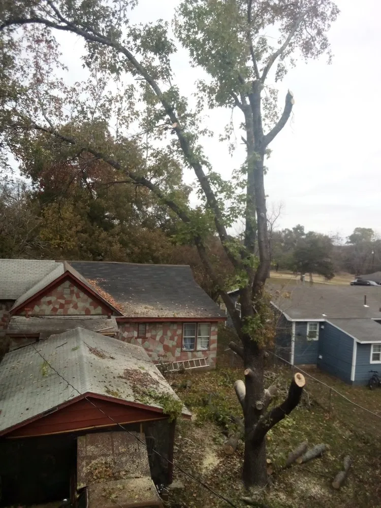 Professional yard cleanup service for year-round maintenance across Calera, OK - Tree Tech and Landscaping