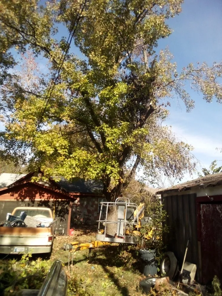 Affordable landscape design experts serving Calera, OK - Tree Tech and Landscaping