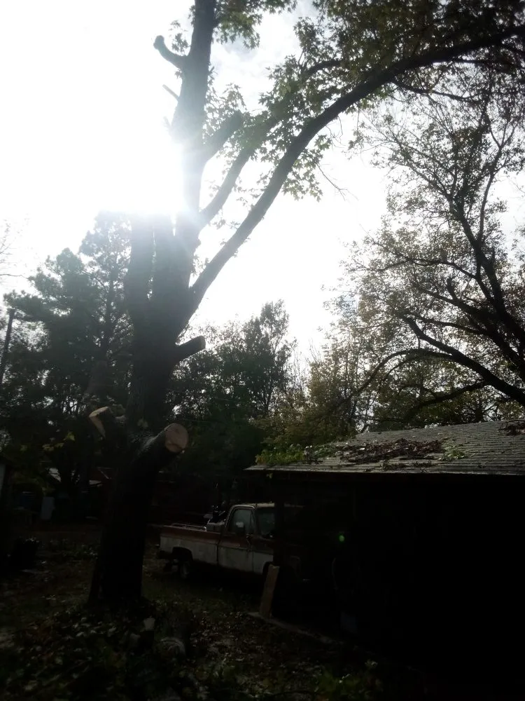 Expert residential landscaping for outdoor upgrades in Calera, OK by Tree Tech and Landscaping