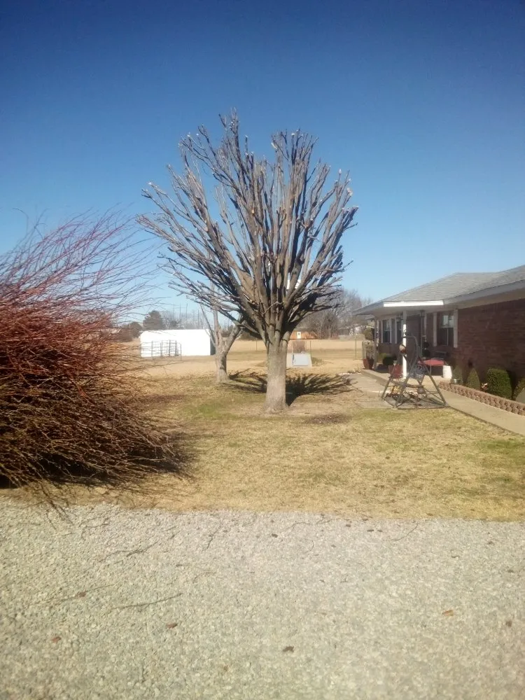 Top-rated residential landscaping in Calera, OK - Tree Tech and Landscaping