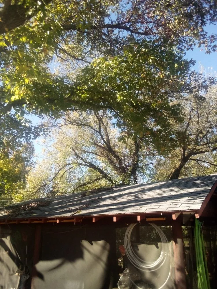 Professional landscape installation for year-round maintenance across Calera, OK - Tree Tech and Landscaping