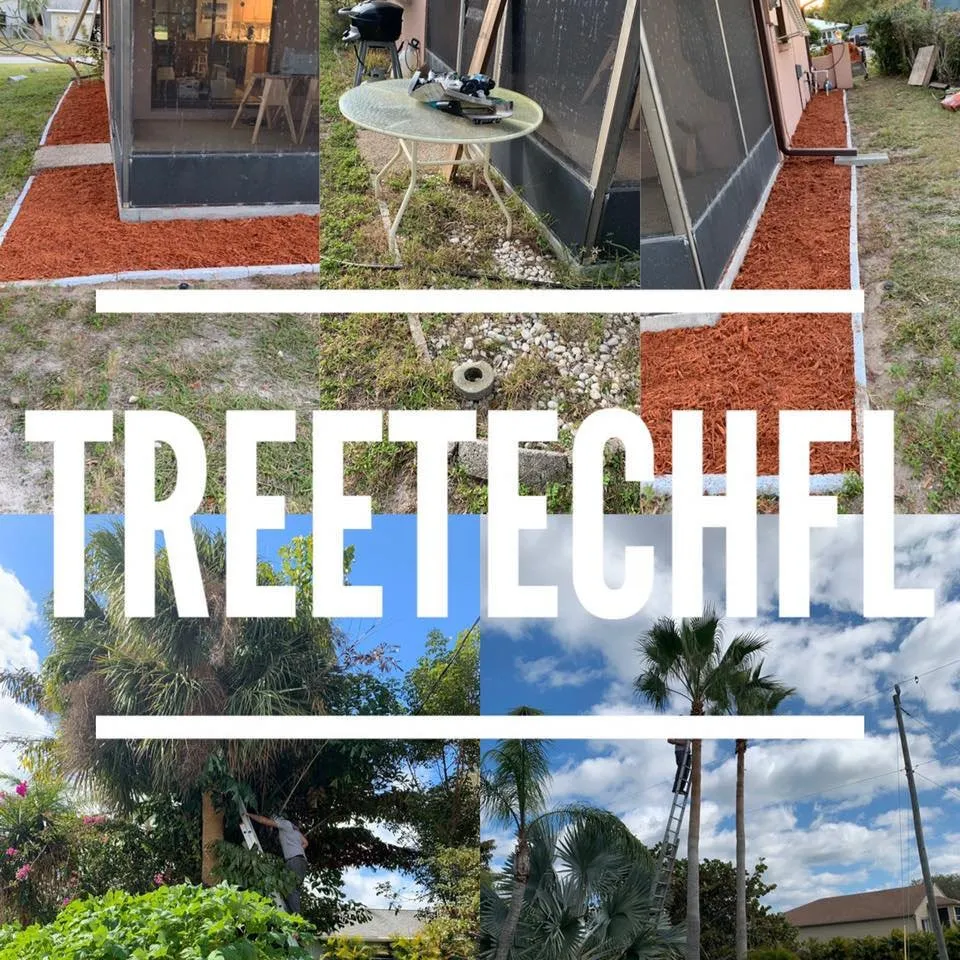 Local garden landscaping for homes across Englewood, FL - Tree Tech FL