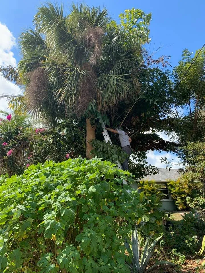 Local lawn mowing service for year-round maintenance in Englewood, FL by Tree Tech FL