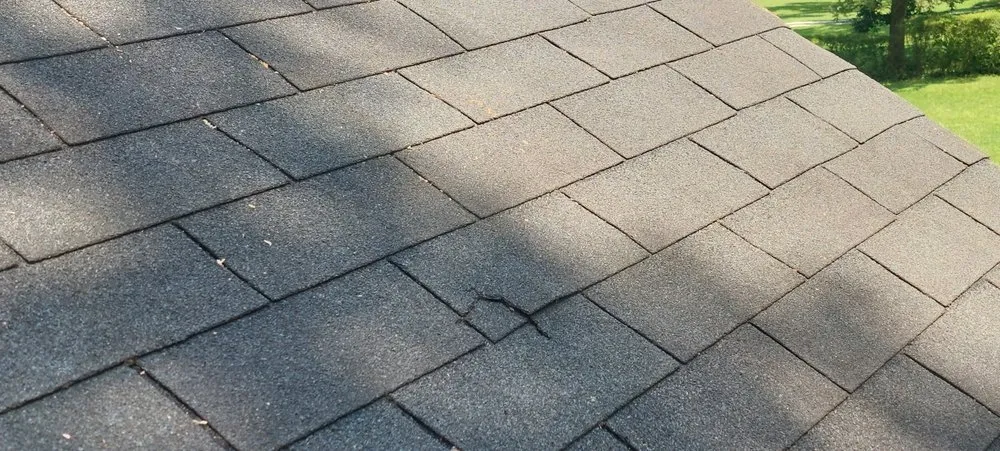 Expert landscaping services in Loganville, GA - Tree Time