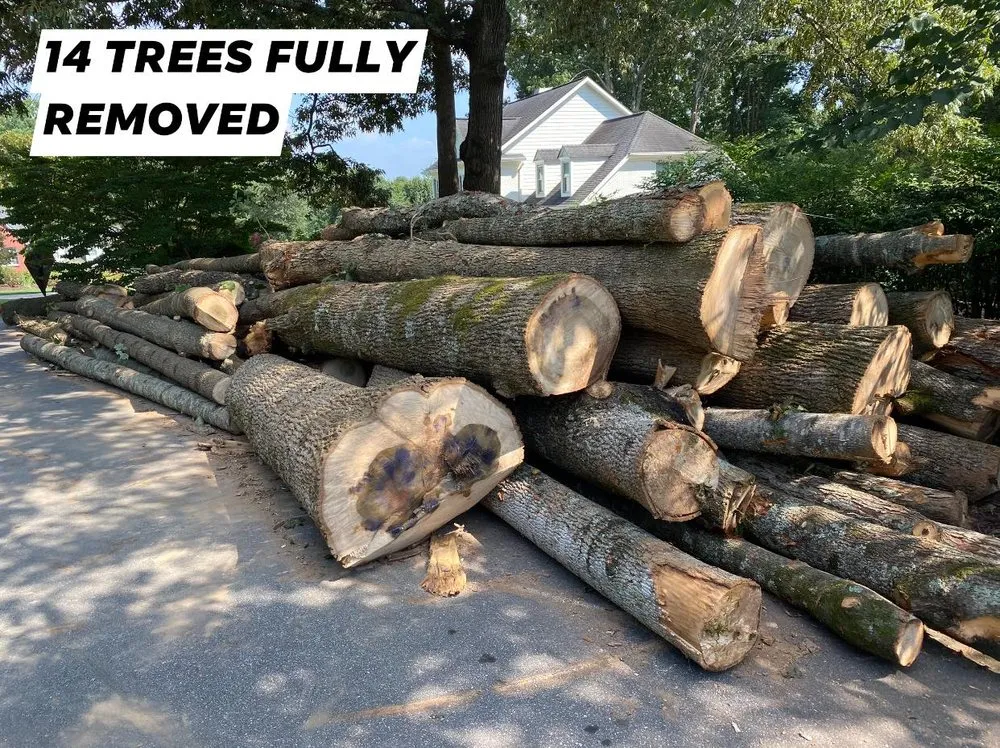 Expert yard maintenance in Loganville, GA - Tree Time