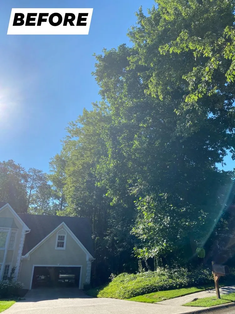 Expert yard cleanup service in Loganville, GA by Tree Time