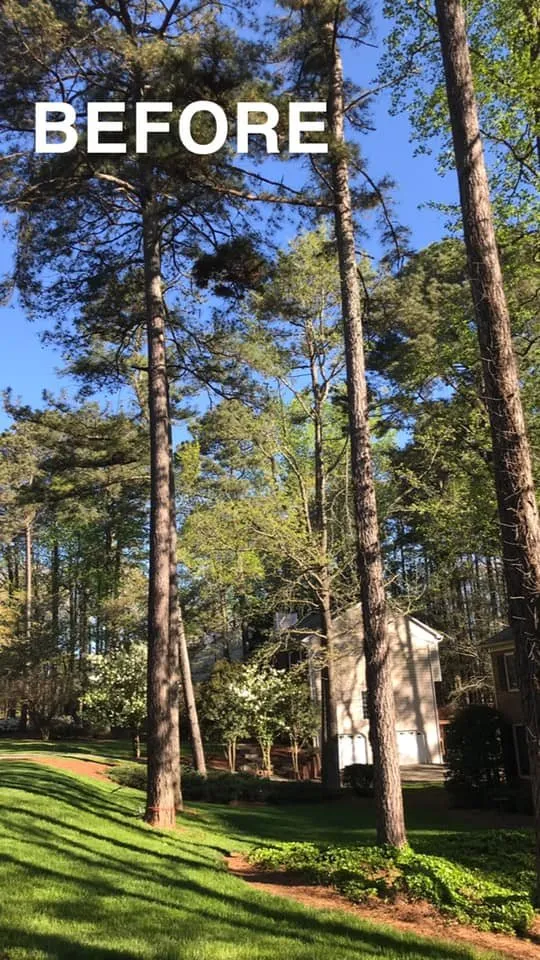 Reliable yard cleanup service with custom design in Loganville, GA by Tree Time