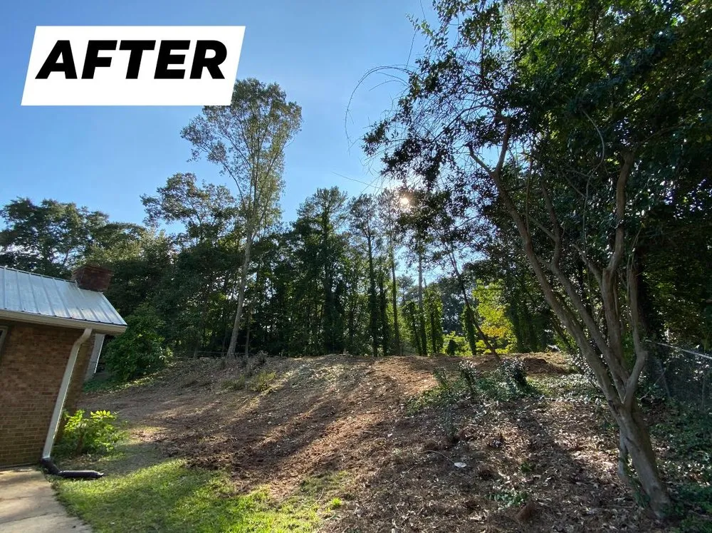 Professional lawn care service in Loganville, GA - Tree Time