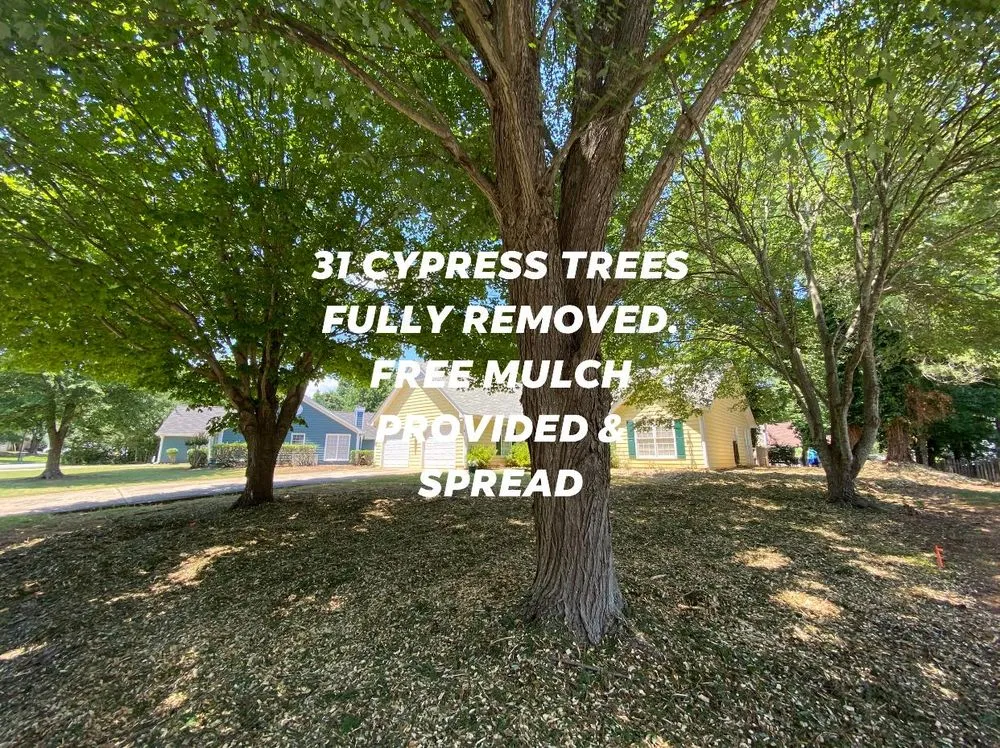 Custom yard maintenance in Loganville, GA - Tree Time