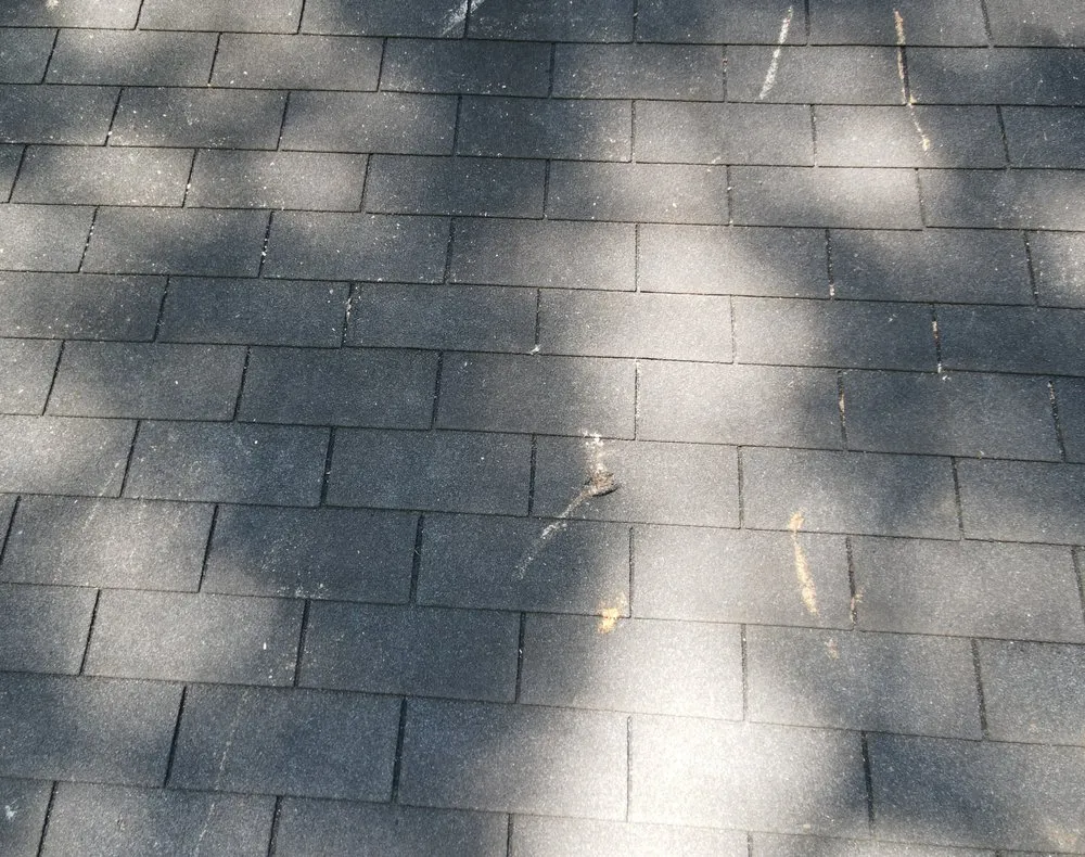 Trusted residential landscaping in Loganville, GA - Tree Time