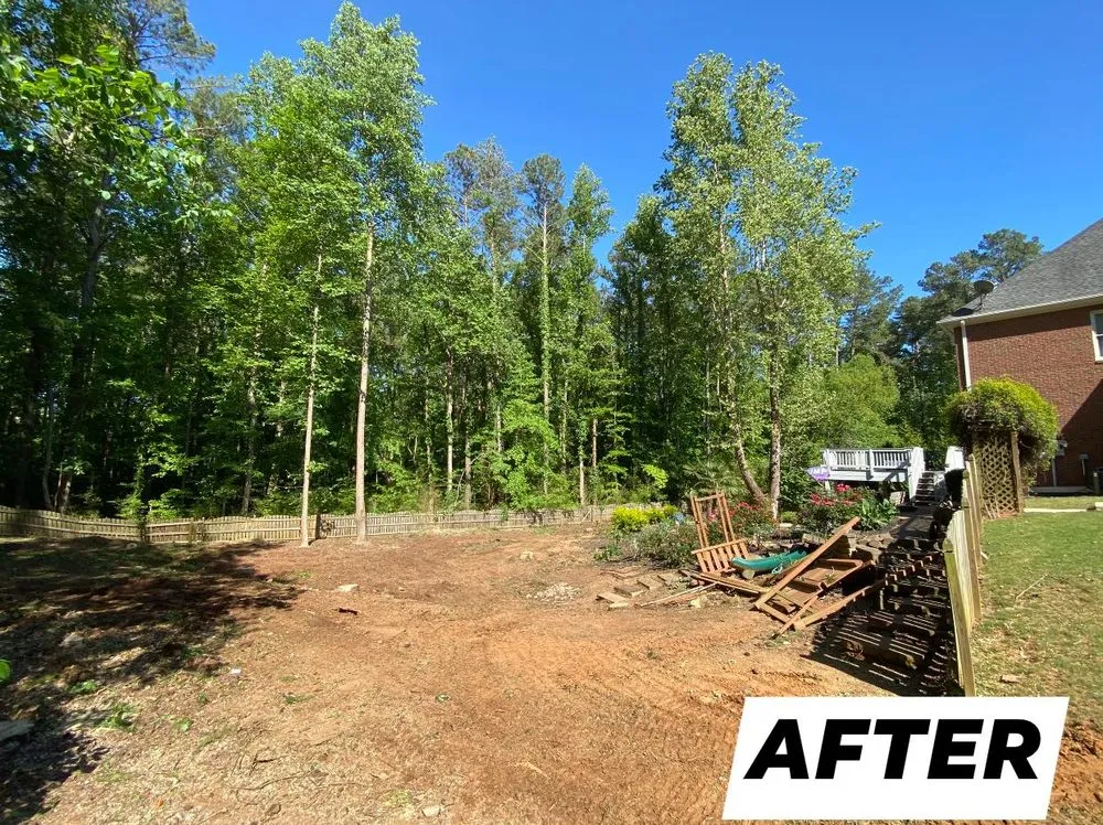 Top-rated yard cleanup service in Loganville, GA by Tree Time
