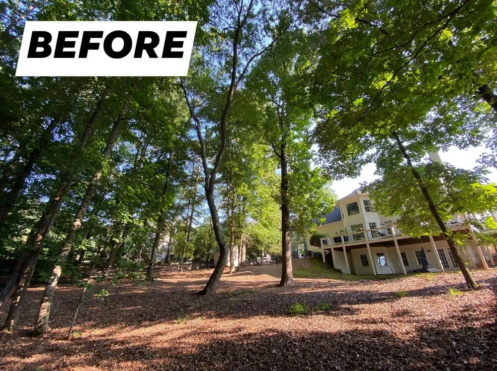 Professional lawn mowing service for residential properties in Loganville, GA by Tree Time