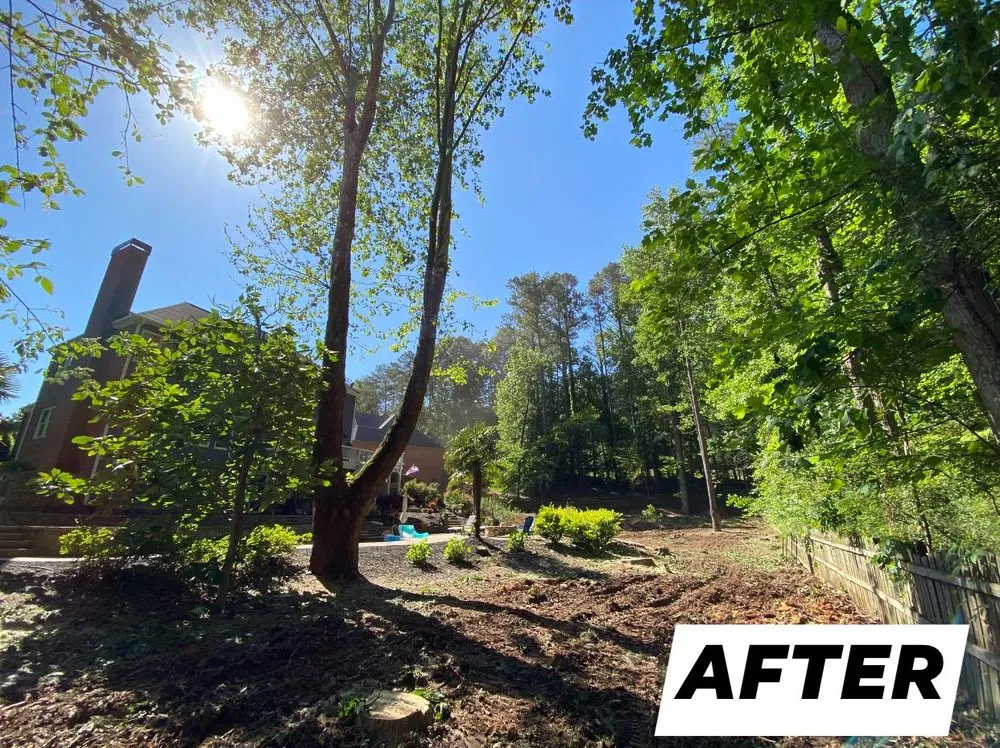 Professional yard maintenance for homes across Loganville, GA - Tree Time