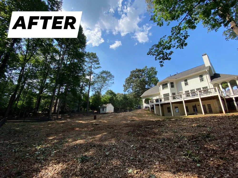 Reliable lawn care service with custom design across Loganville, GA - Tree Time