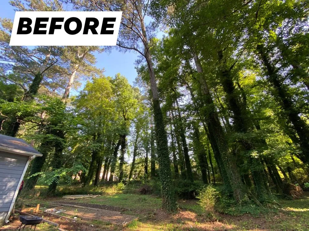 Reliable landscape design experts serving Loganville, GA - Tree Time