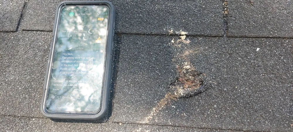 Professional outdoor landscaping experts serving Loganville, GA - Tree Time