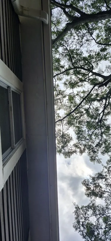 Reliable outdoor landscaping for outdoor upgrades in Loganville, GA by Tree Time