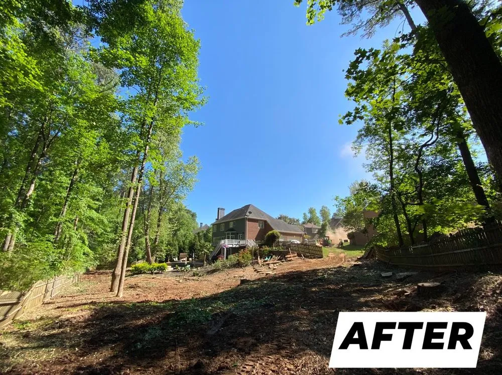 Expert yard cleanup service experts serving Loganville, GA - Tree Time