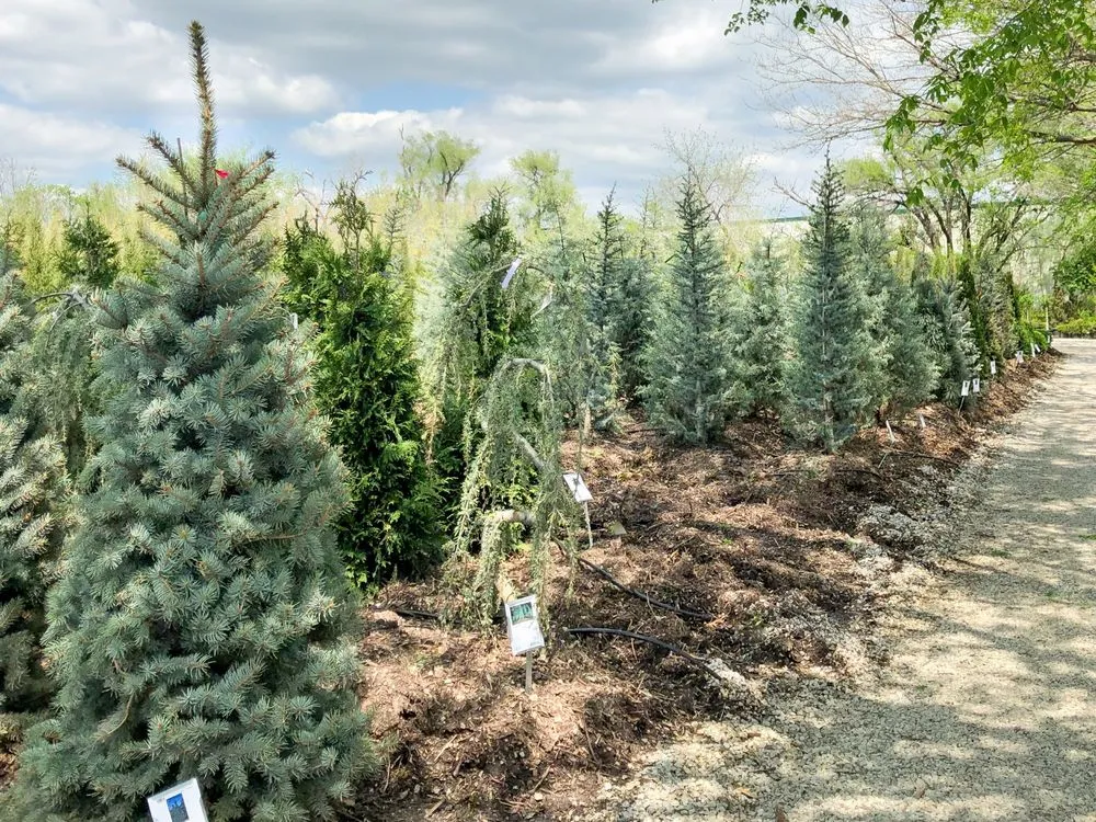 Trusted landscape design for homes across Wichita, KS - Tree Top Nursery And Landscape