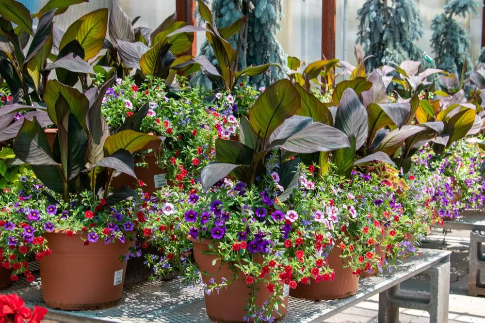 Custom lawn care service experts serving Wichita, KS - Tree Top Nursery And Landscape