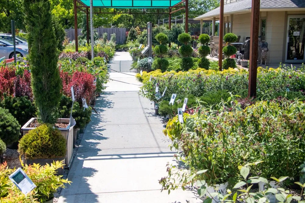 Affordable yard maintenance experts serving Wichita, KS - Tree Top Nursery And Landscape