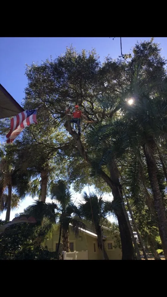 Expert landscape design for outdoor upgrades in port richey, FL by Tree Top Tree Service & Landscaping