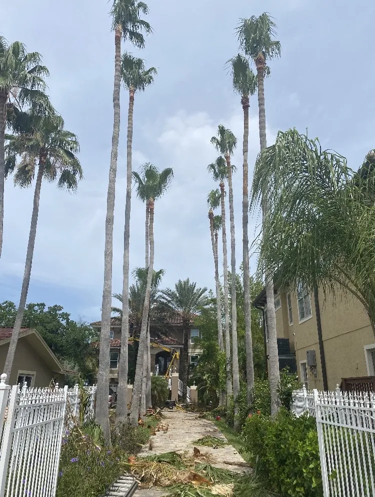 Affordable lawn mowing service for homes in port richey, FL by Tree Top Tree Service & Landscaping