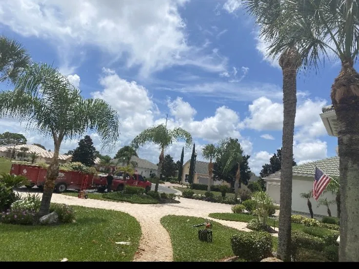 Reliable landscaping services in port richey, FL by Tree Top Tree Service & Landscaping