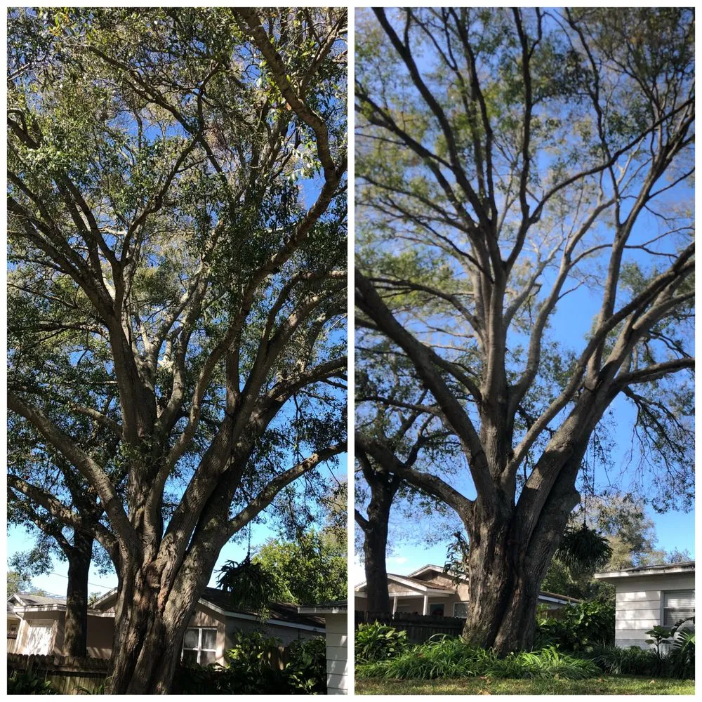 Trusted lawn mowing service for homes in port richey, FL by Tree Top Tree Service & Landscaping