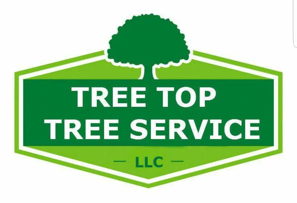 Professional landscape design in port richey, FL - Tree Top Tree Service & Landscaping
