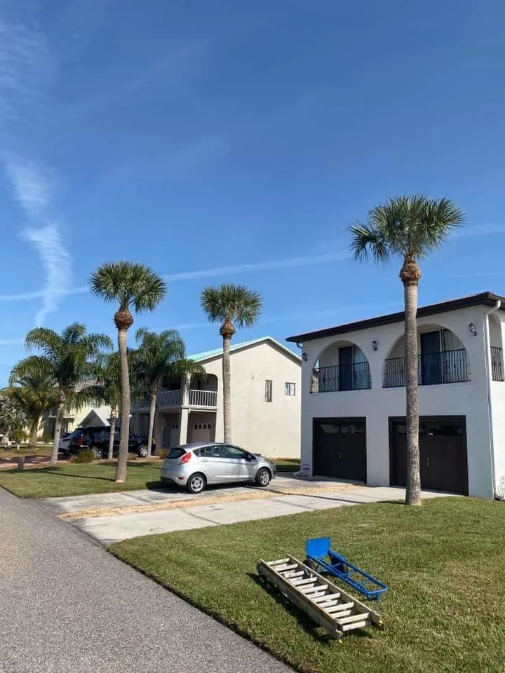 Top-rated landscaping services in port richey, FL by Tree Top Tree Service & Landscaping