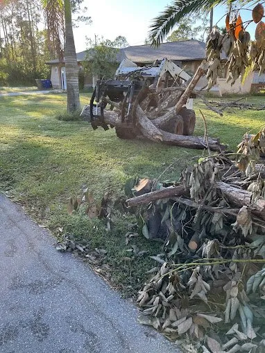 Reliable landscaping services in Lehigh Acres, FL by Tree Tops Tree Services