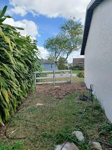 Local lawn care service experts serving Lehigh Acres, FL - Tree Tops Tree Services