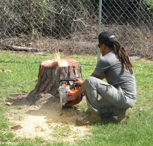 Expert lawn care service for residential properties in Lehigh Acres, FL by Tree Tops Tree Services