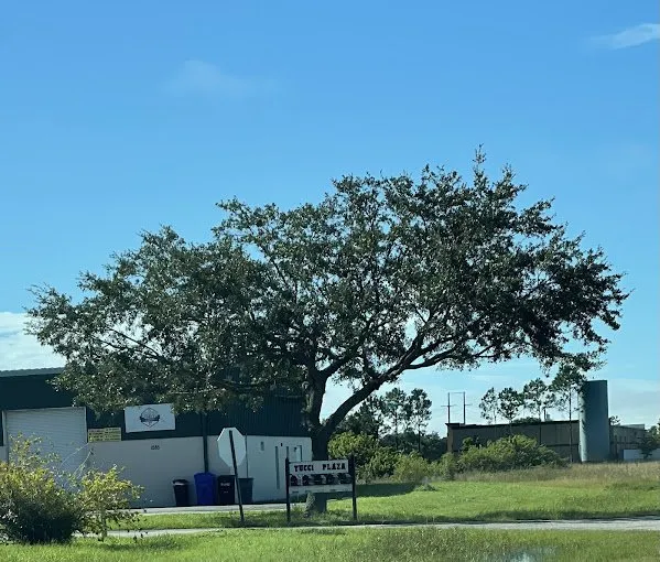 Affordable yard cleanup service in Lehigh Acres, FL by Tree Tops Tree Services