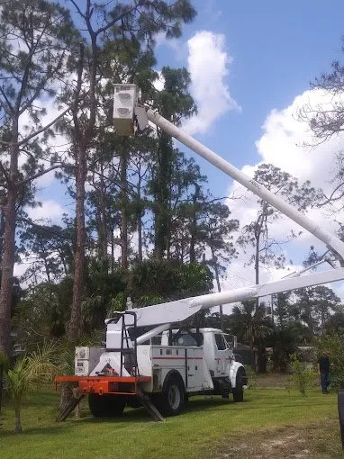 Affordable yard cleanup service experts serving Lehigh Acres, FL - Tree Tops Tree Services