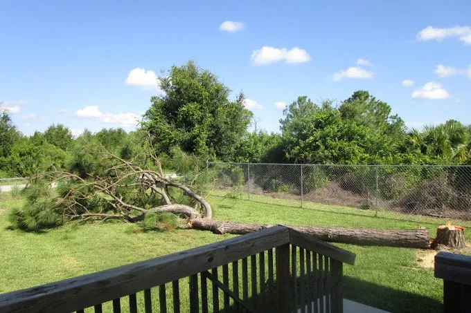 Expert outdoor landscaping for residential properties across Lehigh Acres, FL - Tree Tops Tree Services